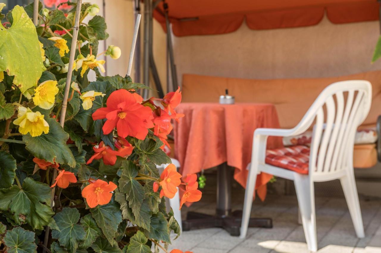 Gruene Oase Apartment Friedrichshafen Ngoại thất bức ảnh